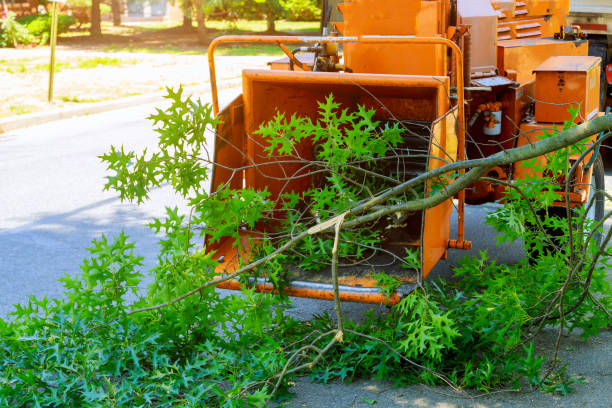 Best Seasonal Cleanup (Spring/Fall)  in Indian Hills, KY